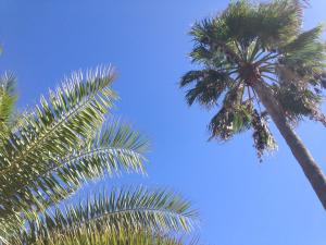 Apartamento La Barca "Rooftop BBQ Chill-out with Top View"