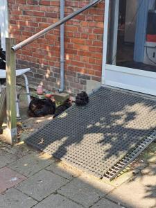 BnB Sharons and Sers place in Heer-Maastricht