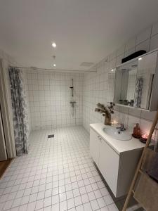 Flat in central Oslo