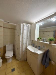 The Allatini project