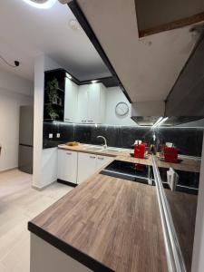 The Allatini project