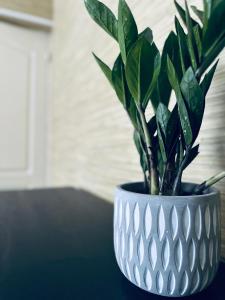 Quiet Corner family apartment