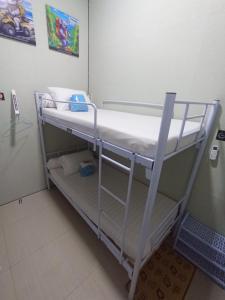 Koala Tidur Hostel Syariah Yogyakarta