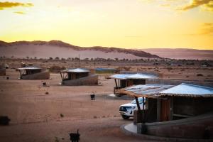 Sossus Oasis Campsite