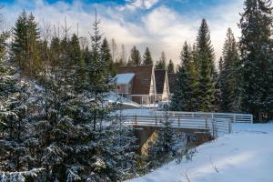 Цілий триповерховий будинок Freeman-3 над річкою з альтанкою та грилем