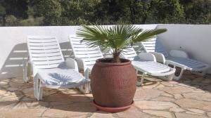 House Soni - 800 m from the sea