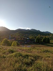 Cabañas Aliwen Lonquimay