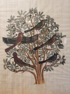 Horizon Lac - wifi - parking