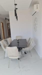 Luxurious Modern Penthouse