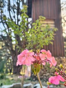 Refugio Torre del Bosque El Marquesado