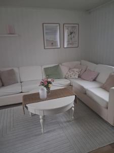 Vinterhus nära Romme Alpin