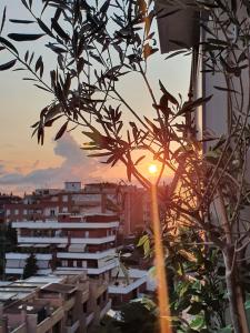 Rome Attic Sunset View
