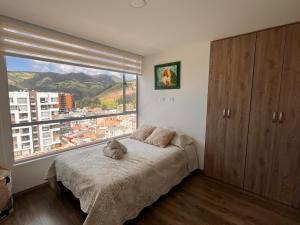 Luxury, Comfort zona céntrica