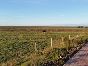 Apartment Nice Holidays by Interhome