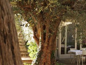 Apartment In einem Bauernhaus in den Hügeln- mit Garten und Pool by Interhome