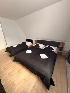 Apartament Miś