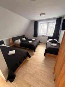 Apartament Miś