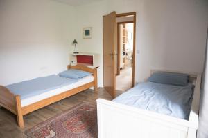 Cozy bright city apartment- large & central