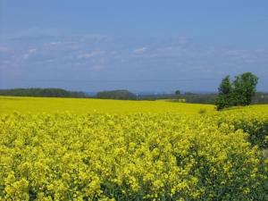 Apartment Lovely Place by Interhome