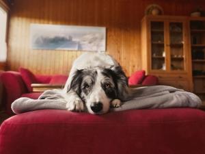 Holiday Home Barbara by Interhome