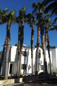 Apartment Wohnung Costa Calma mit gemeinschaftlichem Pool by Interhome