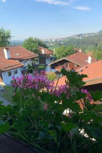 Apartment Appartement in Raßreuth mit gemeinsamem Pool by Interhome