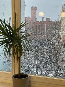 Apartament przy Sądzie