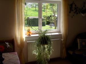Apartment mit Blick zur Wallfahrtskirche by Interhome