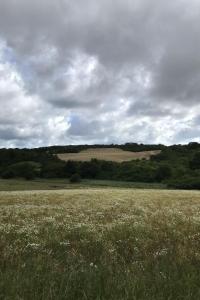 Apartment Leuchtturm by Interhome