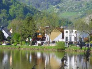 Apartment Moselidyll-Traumferienwohnung in exponierter Moselufer-Lage by Interhome