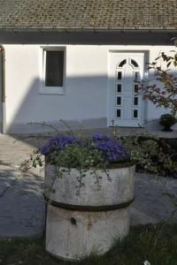 Apartment am Waldesrand by Interhome