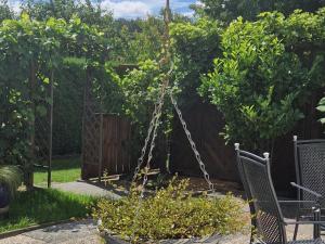 Apartment Ankerplatz by Interhome