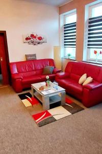 Apartment Fewo Blick Mylau by Interhome