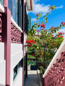 Sunny Escape - Ponta do Sol - Vila Silva Downstairs