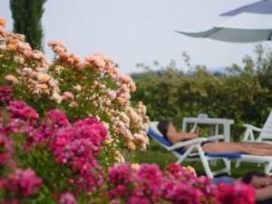 Apartment Ferienappartement mit Garten und Panoramablick by Interhome