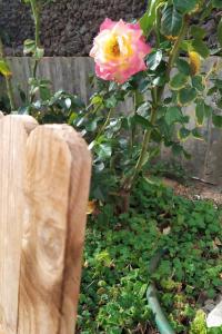 Holiday Home Edara Home - Haus mit privatem Garten by Interhome