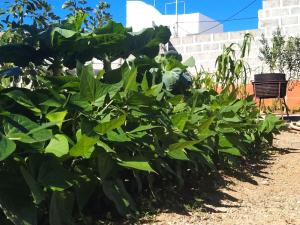 Holiday Home Edara Home - Haus mit privatem Garten by Interhome