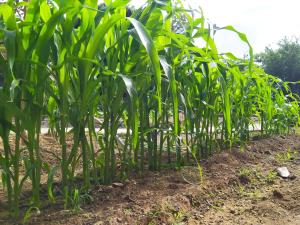 Holiday Home Edara Home - Haus mit privatem Garten by Interhome