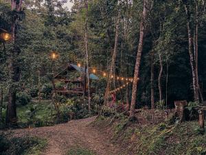 Gaia Nature Lodges at Bluff Beach
