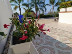 Holiday Home Casa Leandro by Interhome