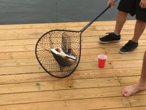 Resting Place on Treasure Island in NPR, FL
