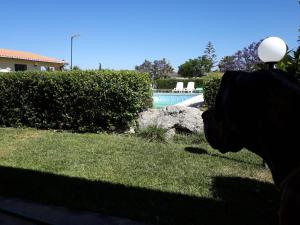 Apartment Wohnung 4 - Studio by Interhome