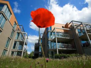 Apartment in Alt Travemünde by Interhome