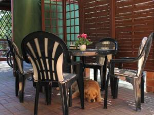 Holiday Home in Alt-Schadow mit Grill und Terrasse by Interhome