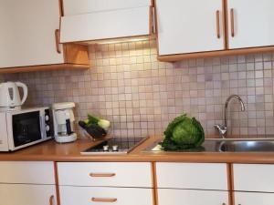 Apartment Wohnung Mölten by Interhome