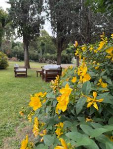 Cabaña Quinta Sol y Luna