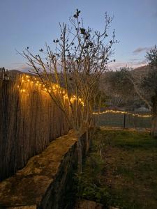 Longra Family Villa & SPA