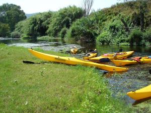 Apartment Solevacanze L plus by Interhome img19