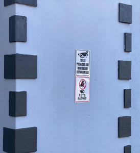 The Palms Guest House