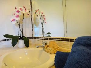 Apartment Solevacanze K mono by Interhome img9
